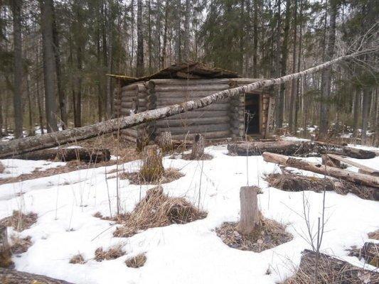 P3280675.thumb.JPG.b3f18ffad999c51335c4d