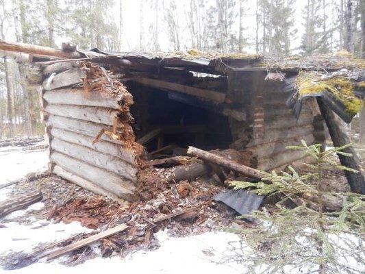 P3280676.thumb.JPG.b81f64dab55cc11a76a89