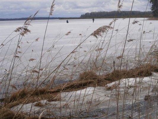 P3280677.thumb.JPG.270d3a37f259c2c593973