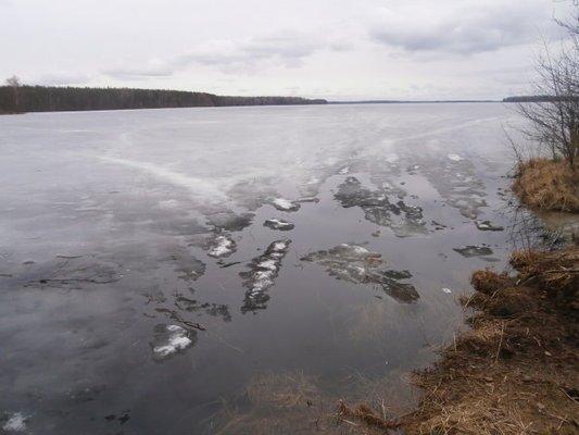 P3280681.thumb.JPG.99be33e9c28d73db4ebfa