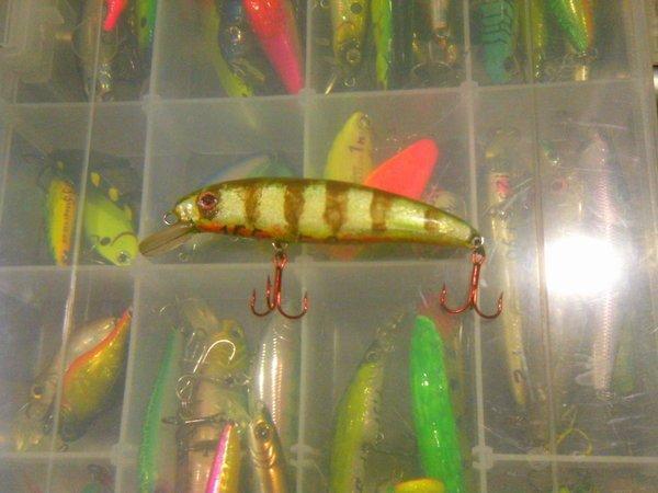 PTDC0272.thumb.JPG.8eaaf2abf010f5c553651