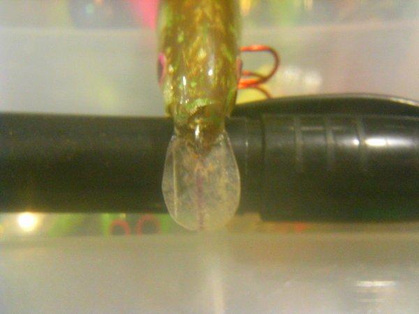 PTDC0276.thumb.JPG.78d0296c63ce78654b285