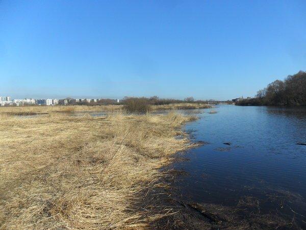 SAM_0789.thumb.JPG.98e97ba16da56374aec41