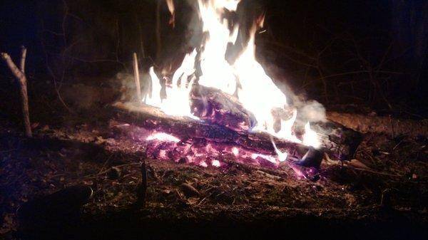 WP_20120901_013.thumb.jpg.2fcfe4114759f8