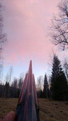 WP_20130501_020.thumb.jpg.df19aaf8fb5309