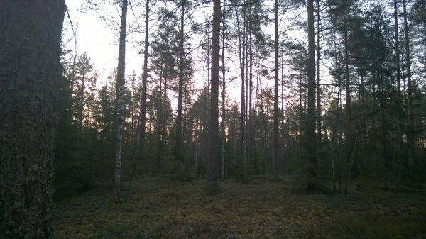 WP_20140425_06_10_43_Pro.thumb.jpg.57d47