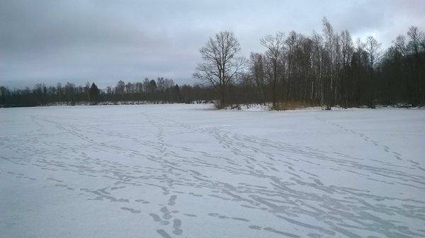 WP_20160402_004.thumb.jpg.cc198e71dff157