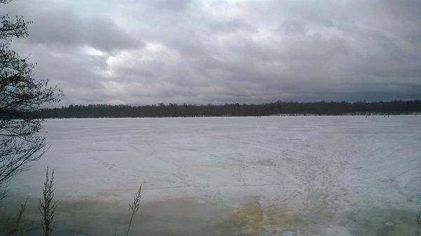 WP_20160402_007.thumb.jpg.ee5c90070ec2d2