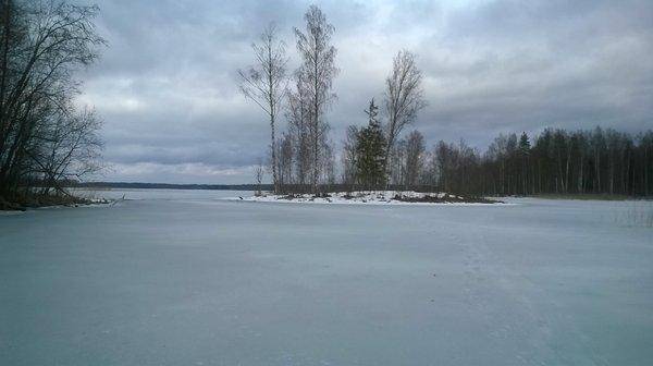 WP_20160402_017.thumb.jpg.51f267f9cf5cfb