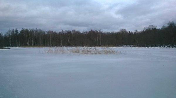 WP_20160402_018.thumb.jpg.88ce4485e2528e