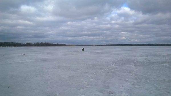 WP_20160402_023.thumb.jpg.eb0348250bfcc6