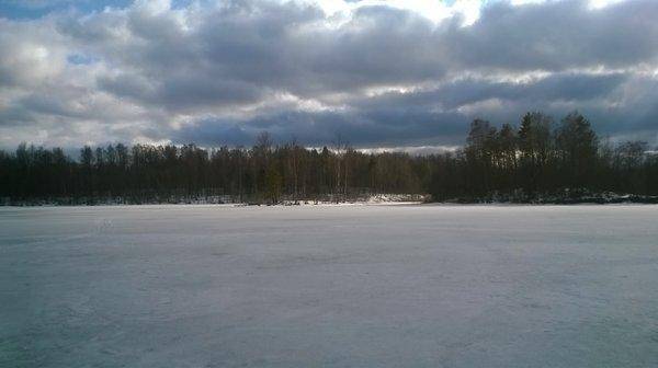 WP_20160402_025.thumb.jpg.7b8f3c373bb580