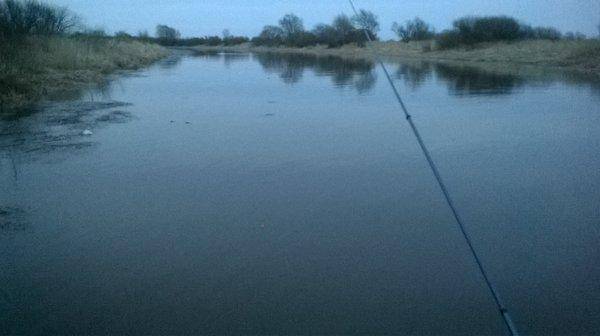 WP_20160406_001.thumb.jpg.a663c24fbba736