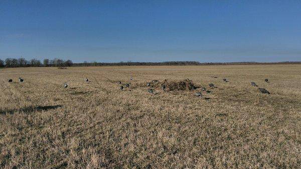 zhByBYaCP-s.thumb.jpg.37b9d9172e9a3887c5