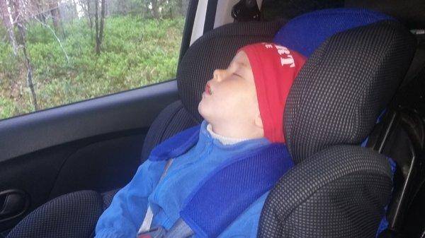 20160528_184829.thumb.jpg.cfe286aa0baab6