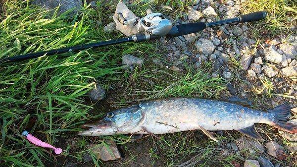 20160529_195427.thumb.jpg.db24528501f161