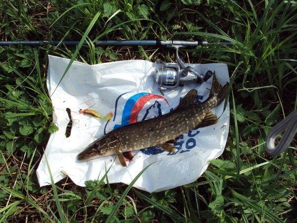 24.05_1.thumb.JPG.928f0204429cb0b8290598