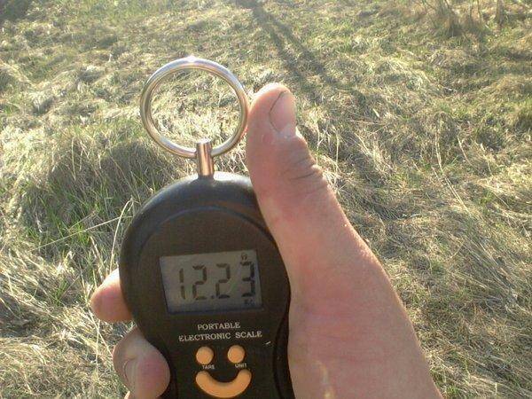 5726384cbe6d3_-0152.thumb.jpg.0cf9e73e4d