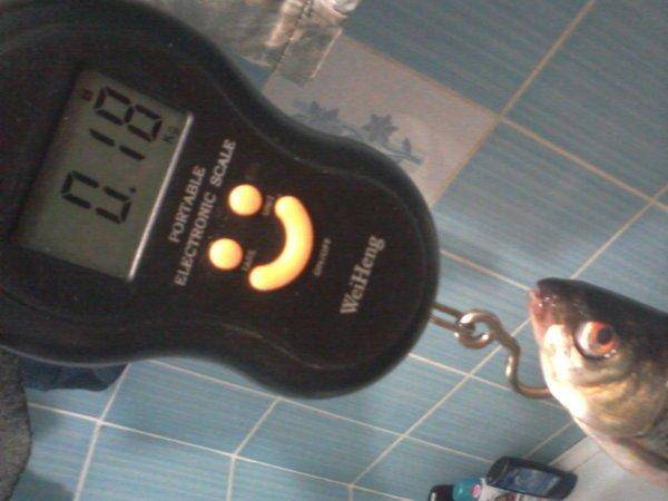 57263851e00e1_-0156.thumb.jpg.c9187292fb