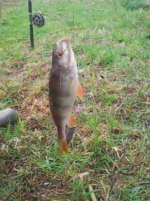 572667ba6e7b0_30-01003.thumb.jpg.af4cb0a