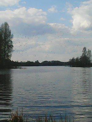 572789b33e81e_2001.thumb.jpg.da15efc96e5