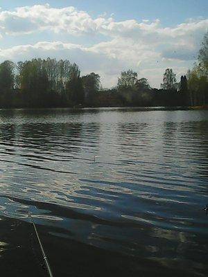 572789f6a8315_2004.thumb.jpg.b175b58d1db