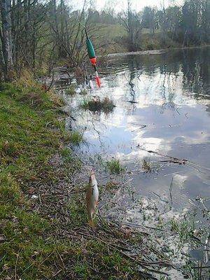 57278a8fcf924_2007.thumb.jpg.55c424c522a