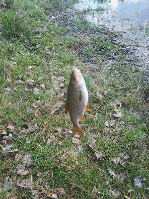 57278aec37040_2009.thumb.jpg.8239127e561