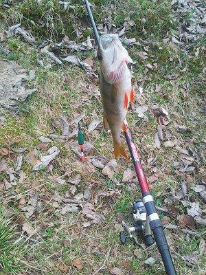 57278b6b8fe30_2016.thumb.jpg.0b0df261907