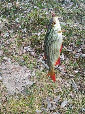 57278bd89ab97_2013.thumb.jpg.0f08bf372fb