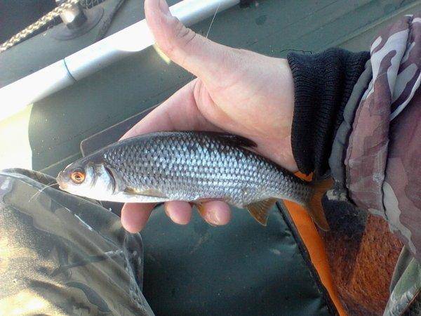 572791af2c078_-0158.thumb.jpg.fa33bc79fe