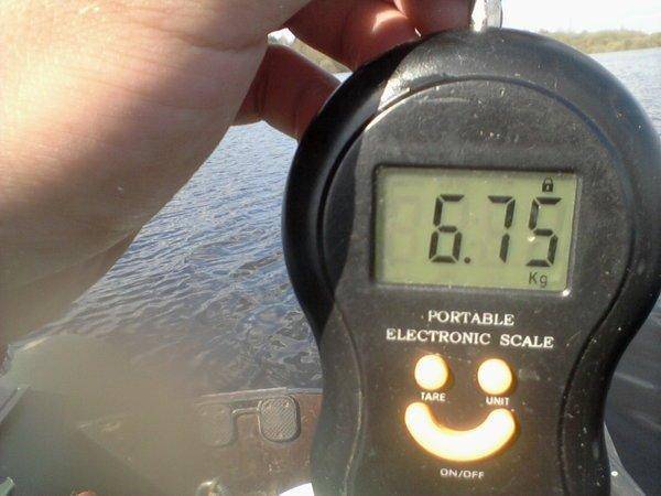 572791b1b8165_-0160.thumb.jpg.2aba8d1da1