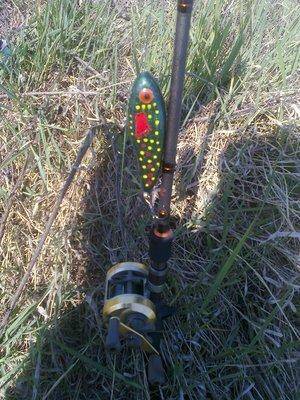 572c7297483d4_3231.thumb.jpg.ea794c7695b