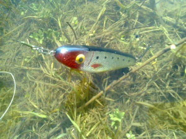 572c72ae75b07_3234.thumb.jpg.e4c1453f21f