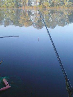 572eeb85ef68e_6-7011.thumb.jpg.b7774f9a2