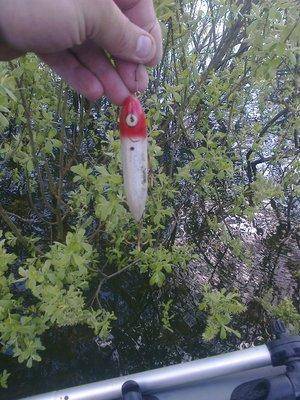 5730d48c97634_3280.thumb.jpg.e23be07902c