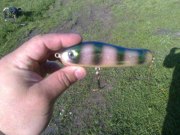 573845561eaa8_3296.thumb.jpg.a29c3a30923