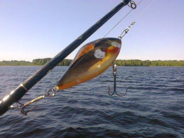 5738492b361fd_3312.thumb.jpg.e064b67d15a