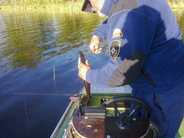 57385152b8d7c_3339.thumb.jpg.31b4c272325