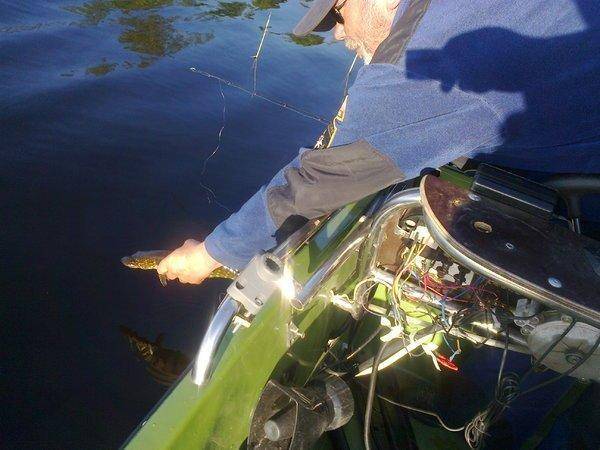 573851580e88b_3340.thumb.jpg.6b82e37d7c1