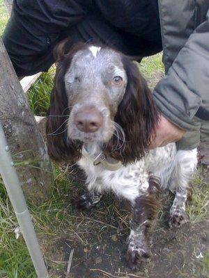 573854a74be7f_3350.thumb.jpg.b0c52de1a87