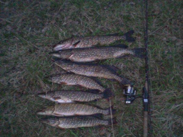 573b7756cd73b_-0164.thumb.jpg.399979d889