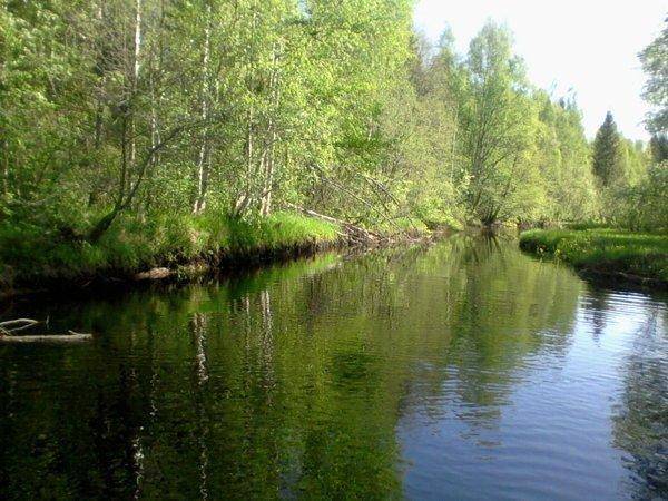 573b775d36928_-0168.thumb.jpg.9291ef6341