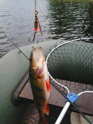 573f3fc8e9783_20.05.2016034.thumb.jpg.fc