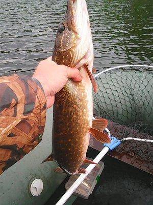 573f40f409362_20.05.2016042.thumb.jpg.8a