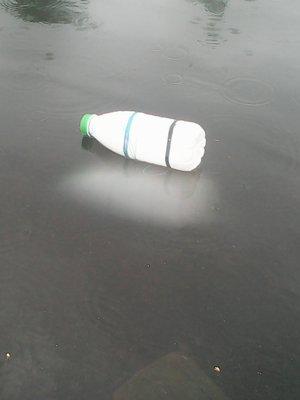 573f43331c3ea_20.05.2016043.thumb.jpg.50