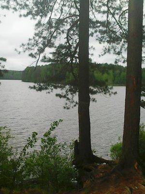 5740bfd3d63e4_21.05.2016006.thumb.jpg.a8