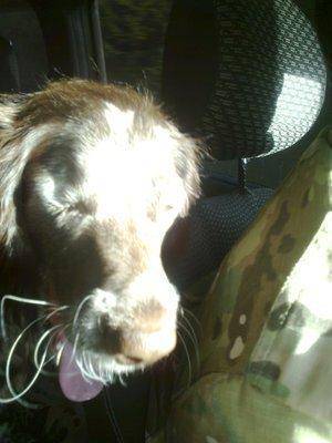 5740c076116be_3377.thumb.jpg.bf4013e096e