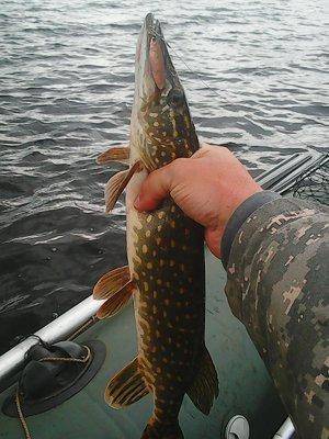 5740c15807b28_21.05.2016013.thumb.jpg.be