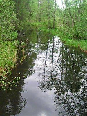 5741ec6078a4d_22.05.2016001.thumb.jpg.61